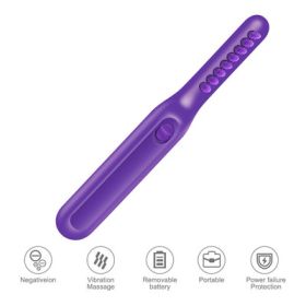 Electric Detangling Brush Scalp Massage Hair Brush (Option: Purple)